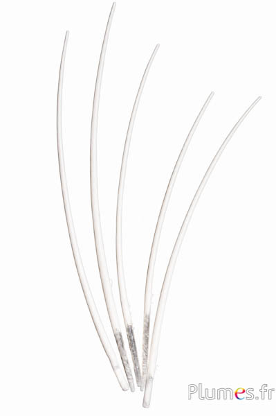 Gans schacht - 25-30 cm - wit